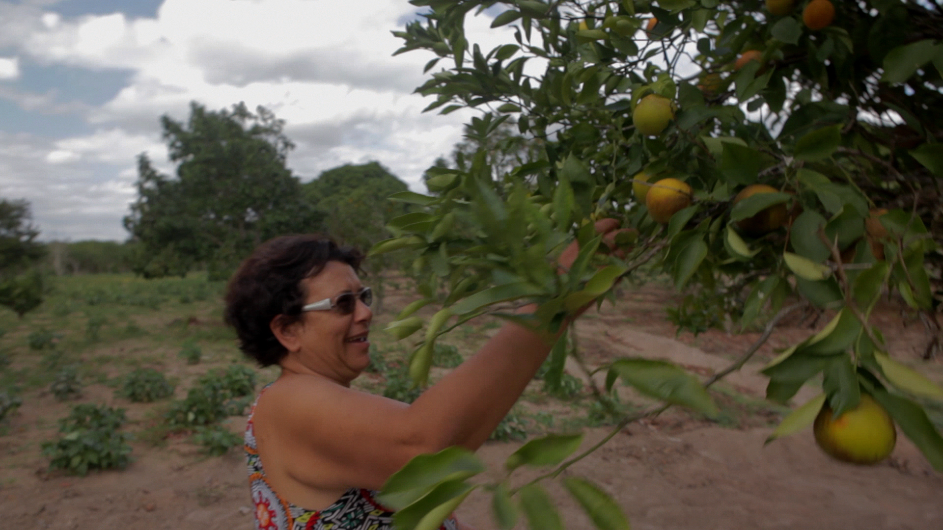 Dona Sonia_colhendo frutas na barragem subterrânea.png